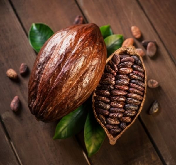 Best Organic Moringa Capsules